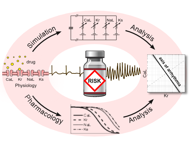 Axis of Arrhythmia Figure