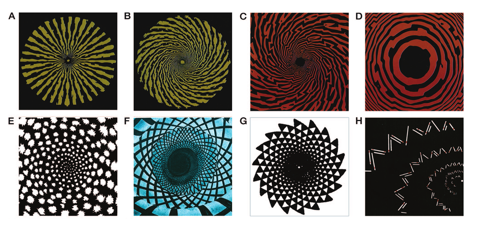 Geometric Hallucinations