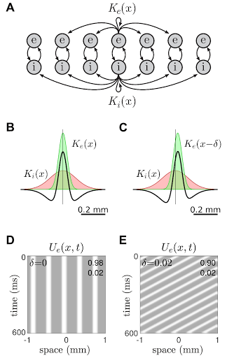 Endogenous waves